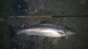 Nith Sea Trout Experience week 2, Burgh Upper Beat, Stephen Langford's team