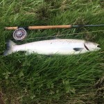 Alun Grant caught this lovely 11lb Salmon on DGAA Boys Pool